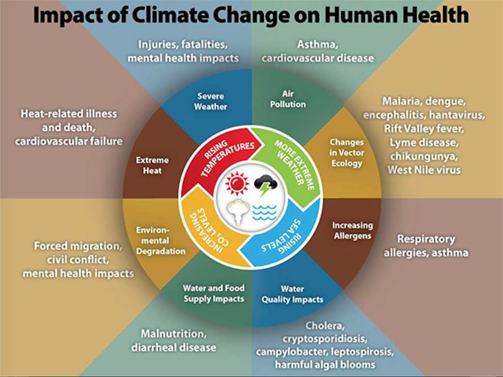 Public Health Problems In India Pdf To Word