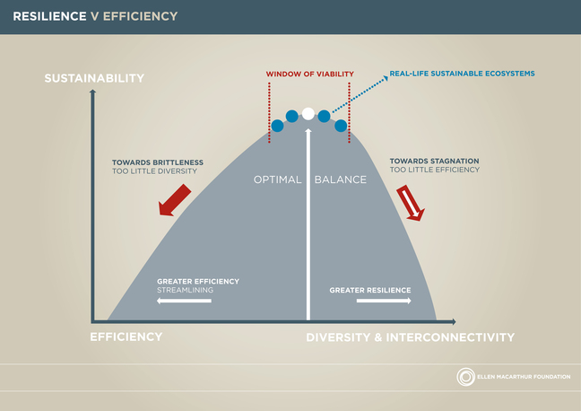 EMF_resilience-vs-efficiency