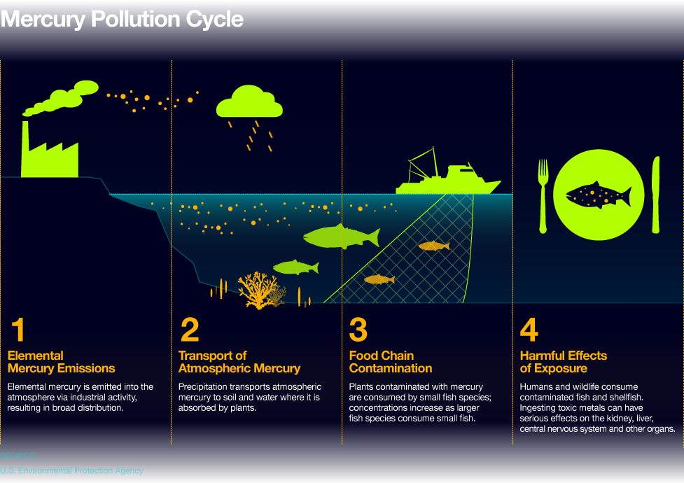 OceanHealthIndex-OHI_CHEMICAL_POLLUTION_CYCLE