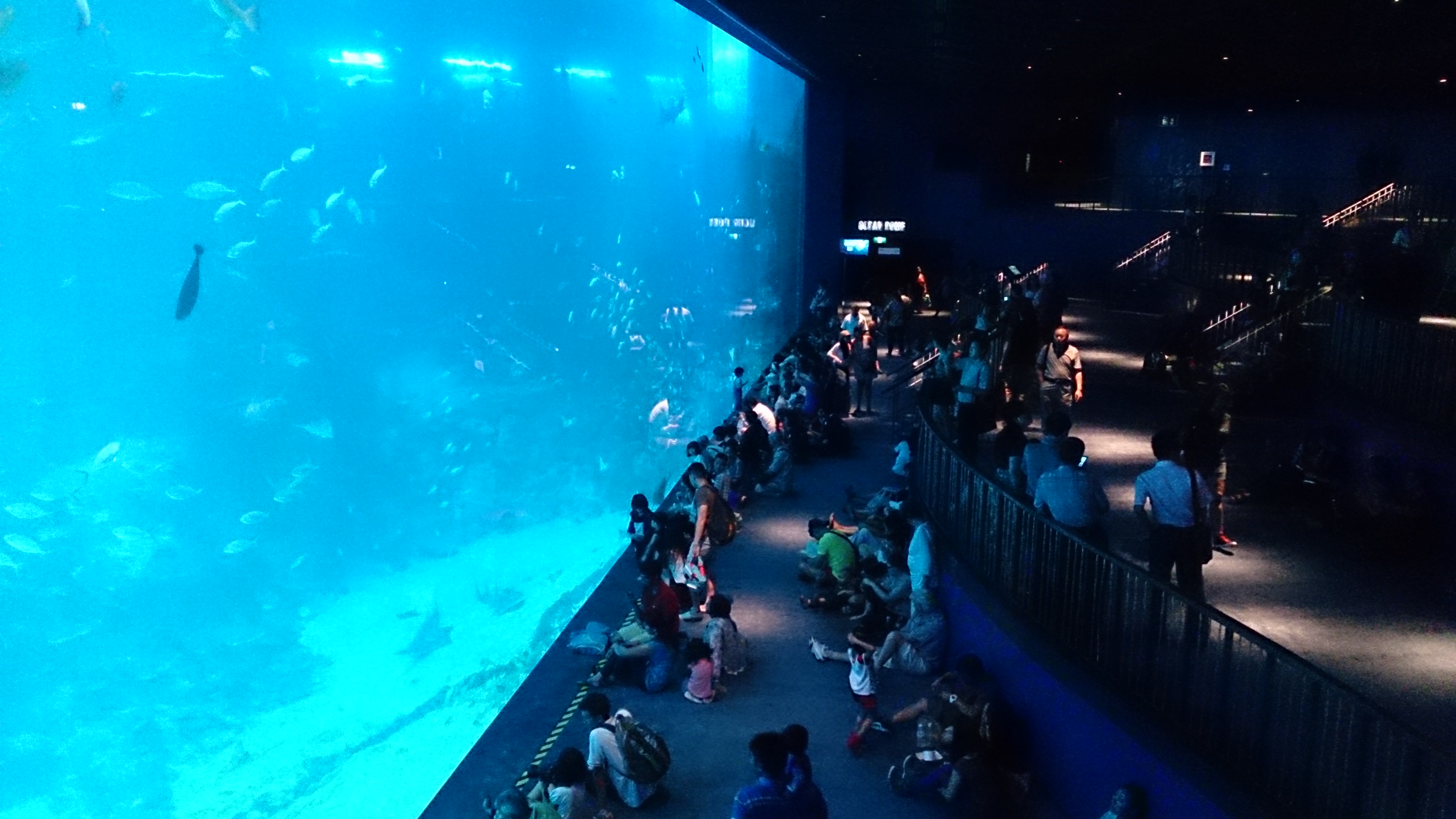 SEA_aquarium_Singapore