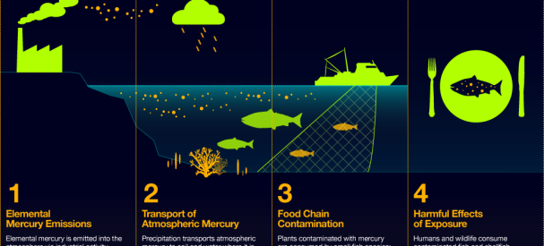 OceanHealthIndex-OHI_CHEMICAL_POLLUTION_CYCLE